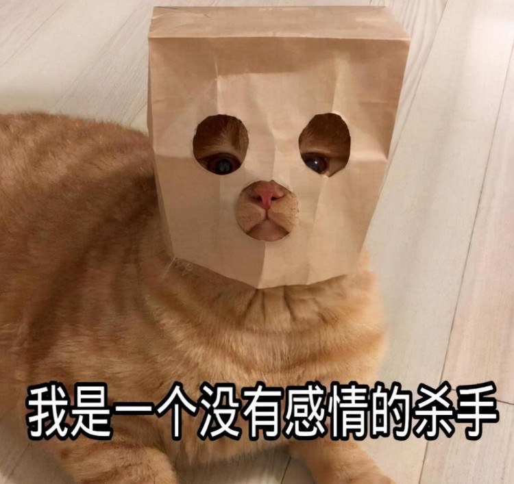 这9种做法，是在对猫咪说“我爱你”，快学起来！