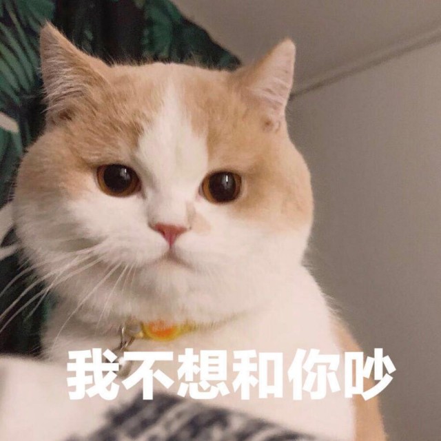 六种寿命最短的猫，一定要好好珍惜